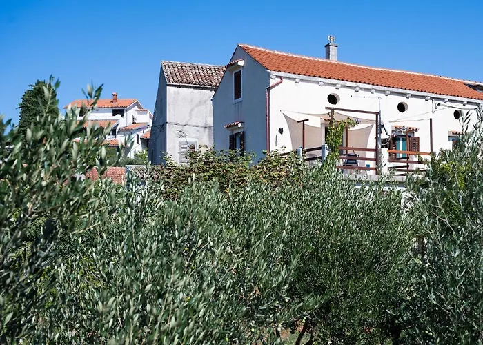 Corino * Veli Lošinj