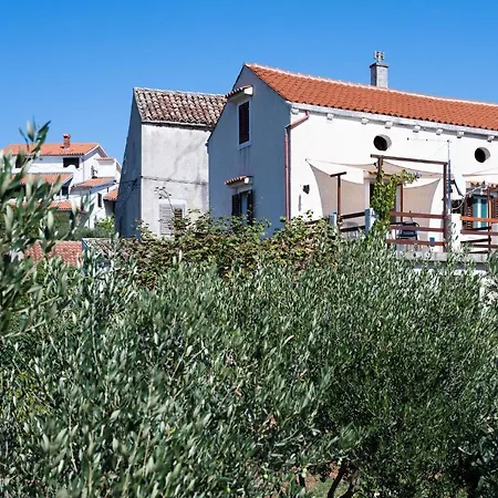 Corino * Veli Lošinj